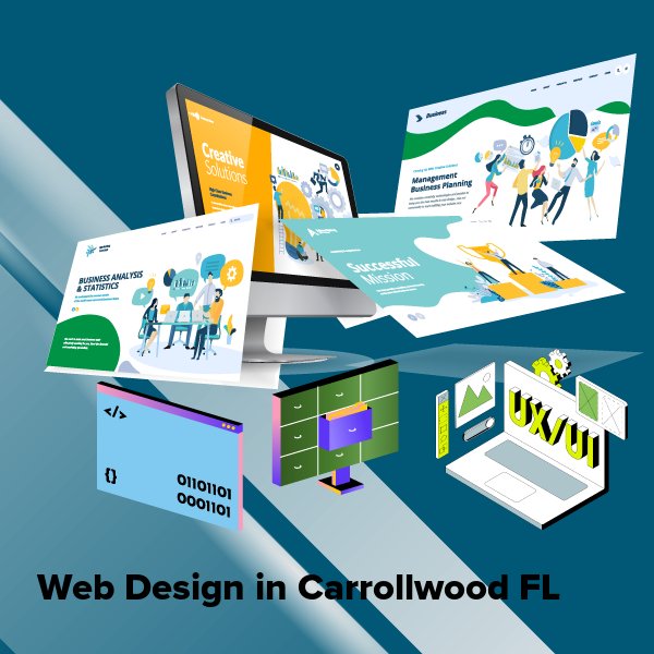 Web design in carrollwood fl