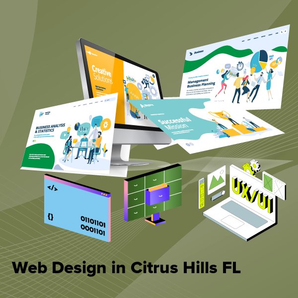Web design in citrus hills fl