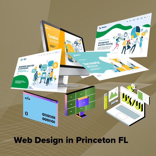 Web design in princeton fl