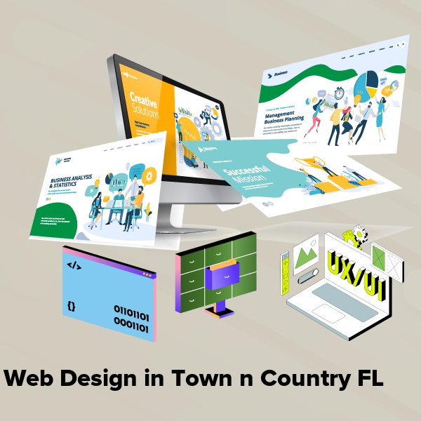 Web design in town n country fl