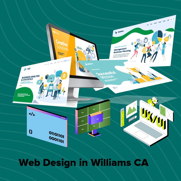Web design in williams ca