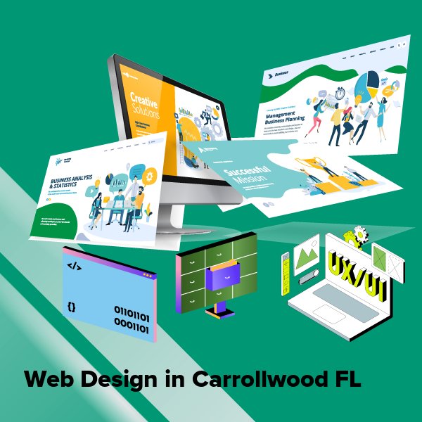 Web design in carrollwood fl