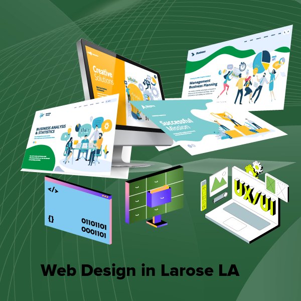 Web design in larose la