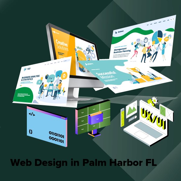 Web design in palm harbor fl