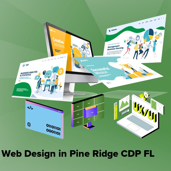 Web design in pine ridge cdp fl