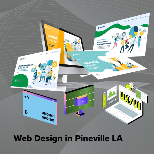 Web design in pineville la