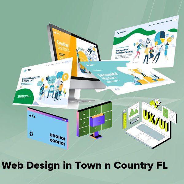Web design in town n country fl