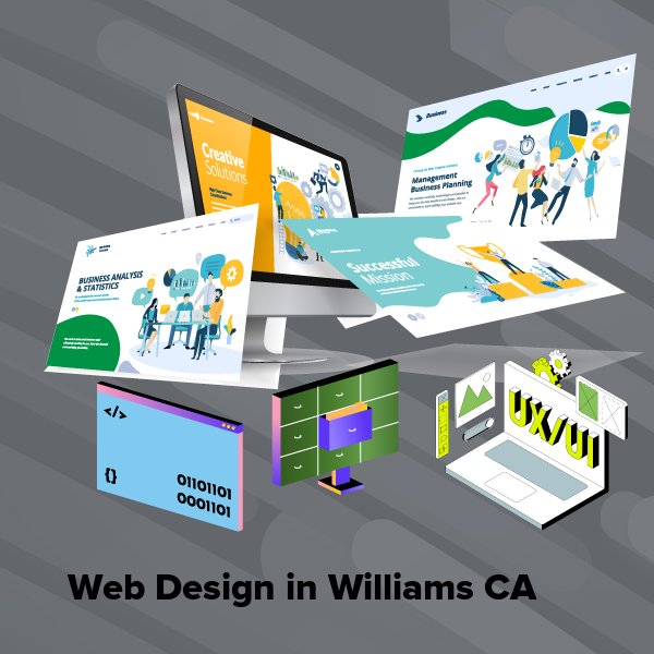 Web design in williams ca